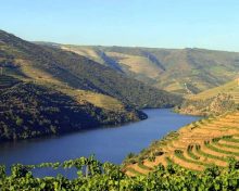 Un dimanche dans la vallée du Douro