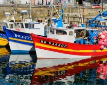 Le Finistère des peintres