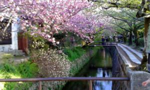 Voyage au Japon : de Tokyo à Kyoto