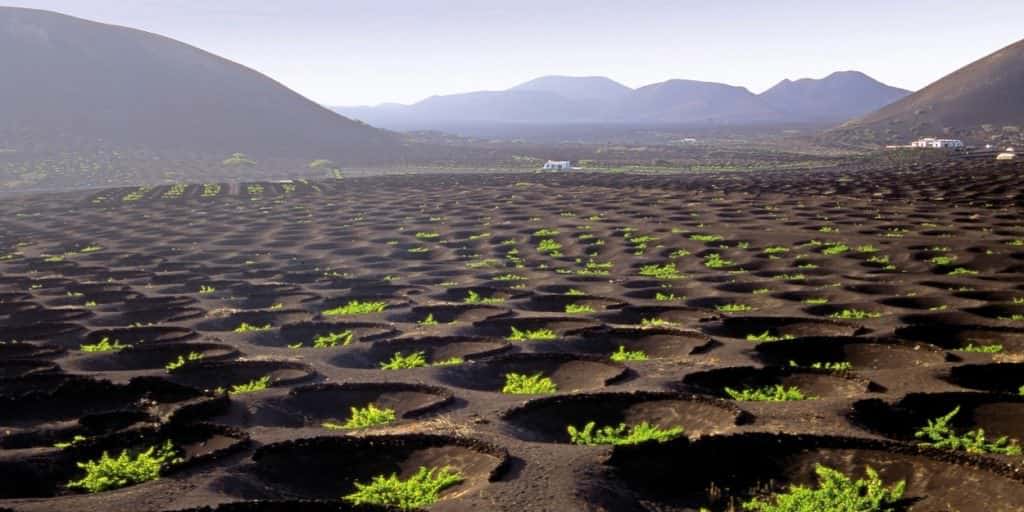 Séjour aux Canaries : la geria à Lanzarote