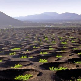 Séjour aux Canaries : la geria à Lanzarote