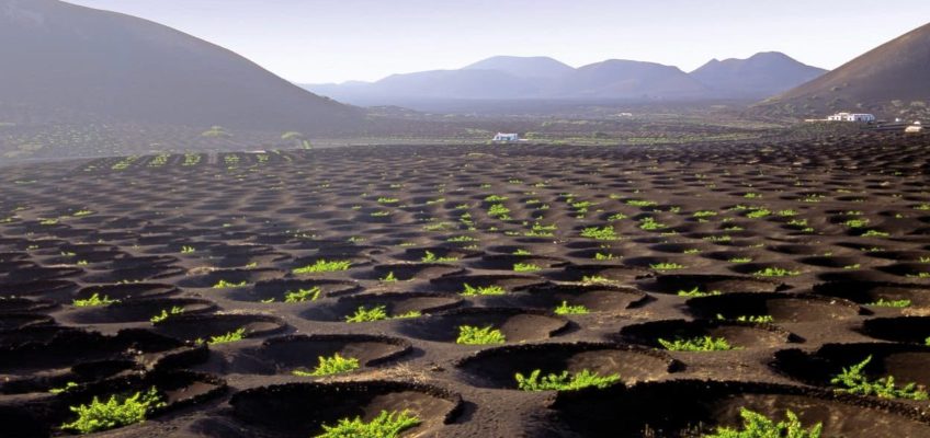 Séjour aux Canaries : la geria à Lanzarote