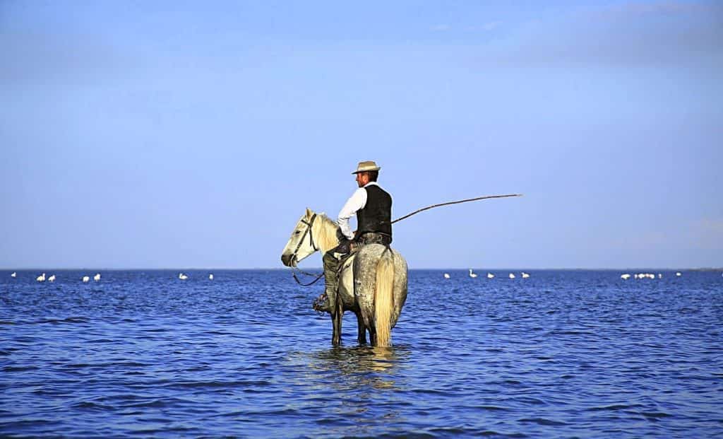 Séjour en Camargue