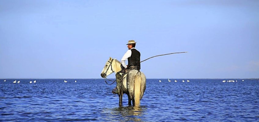 Séjour en Camargue