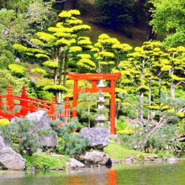 Visite du parc oriental de Maulévrier, un jardin japonais en Anjou