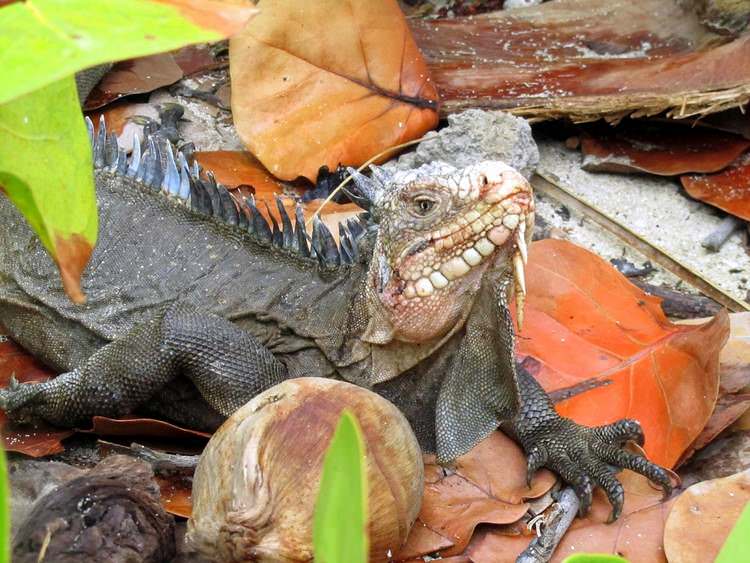 guadeloupe-petite-terre