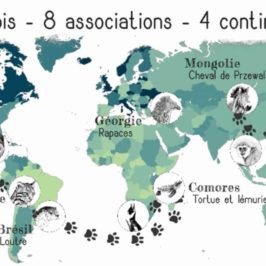tour du monde - écovolontariat