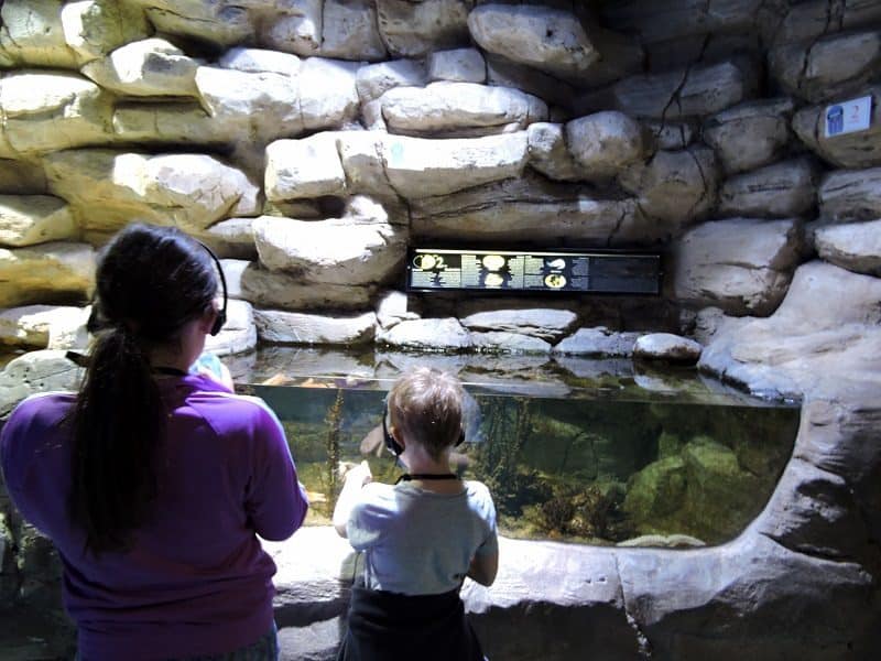 la-rochelle-famille-aquarium