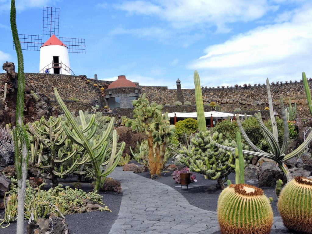 Séjour aux Canaries : Lanzarote