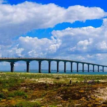 Cinq activités incontournables à l’île de Ré