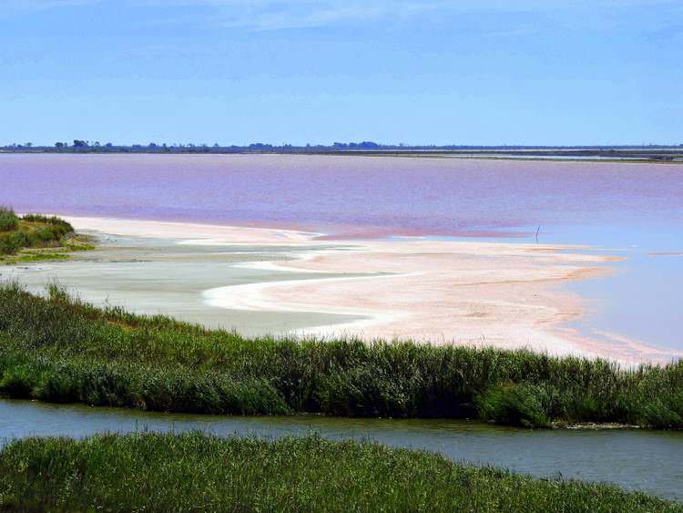 camargue-salins-aigues-mortes