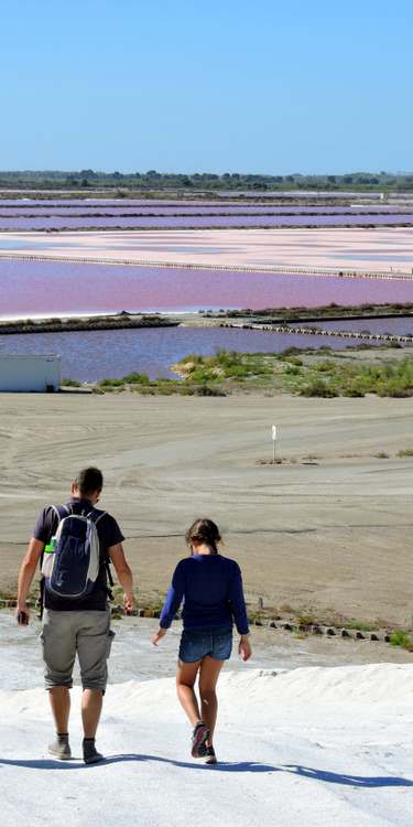 camargue-salins-aigues-mortes