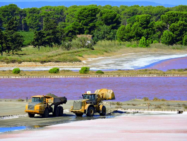 camargue-salins-aigues-mortes