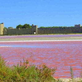 camargue-salins-aigues-mortes