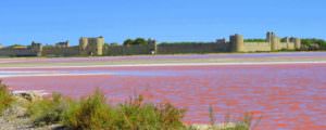 camargue-salins-aigues-mortes