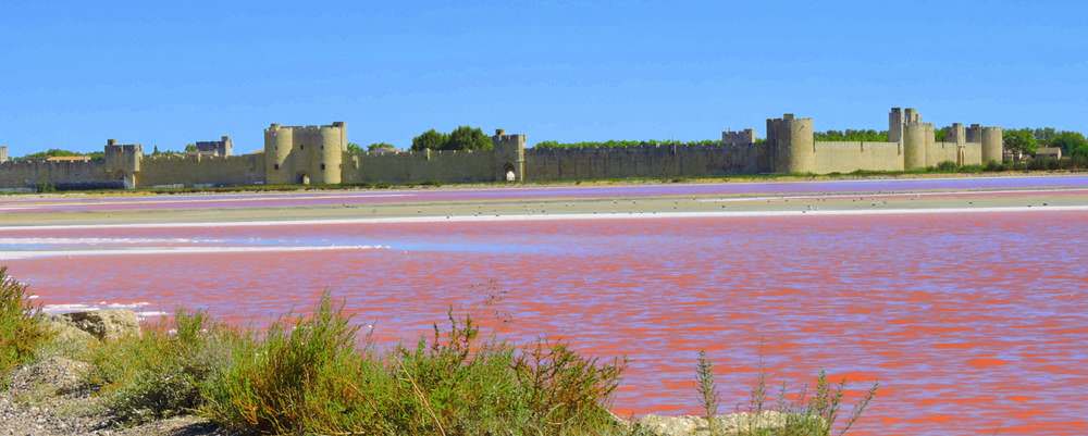 camargue-salins-aigues-mortes