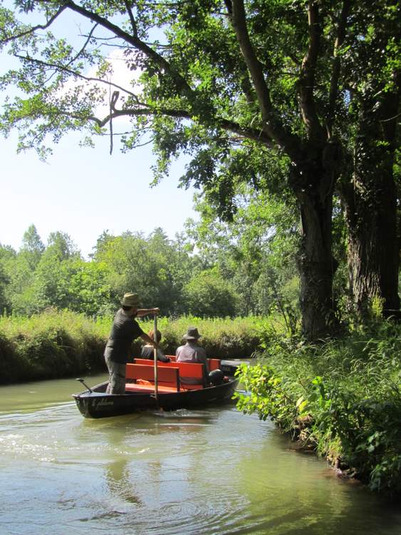 faire de la barque dans le marais poitevin