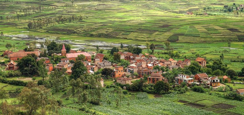 voyage à Madagascar - © mariusz kluzniak