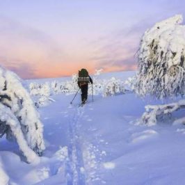 laponie-finlande-vastavalo
