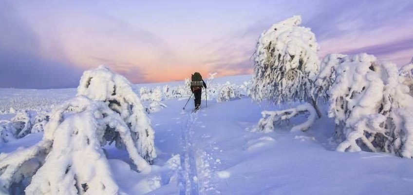 laponie-finlande-vastavalo