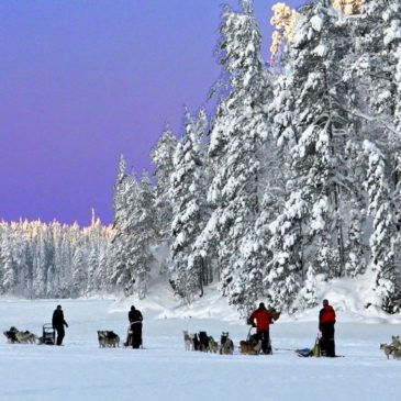 Finlande : un hiver tout blanc en famille