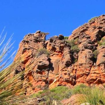 Traversez l’Outback australien