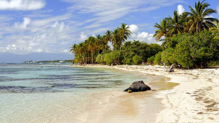 guadeloupe-bois-jolan