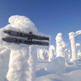 Finlande : séjour en Laponie