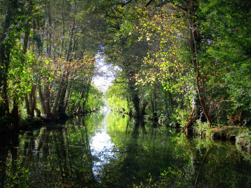 marais-poitevin