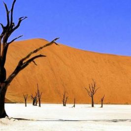découverte-namibie
