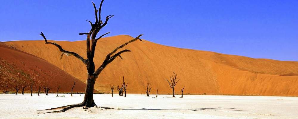 découverte-namibie