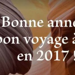voeux-2017