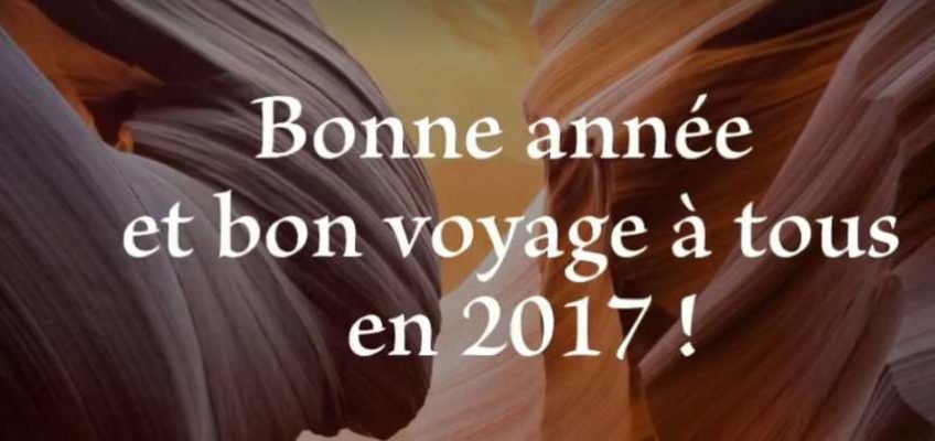 voeux-2017