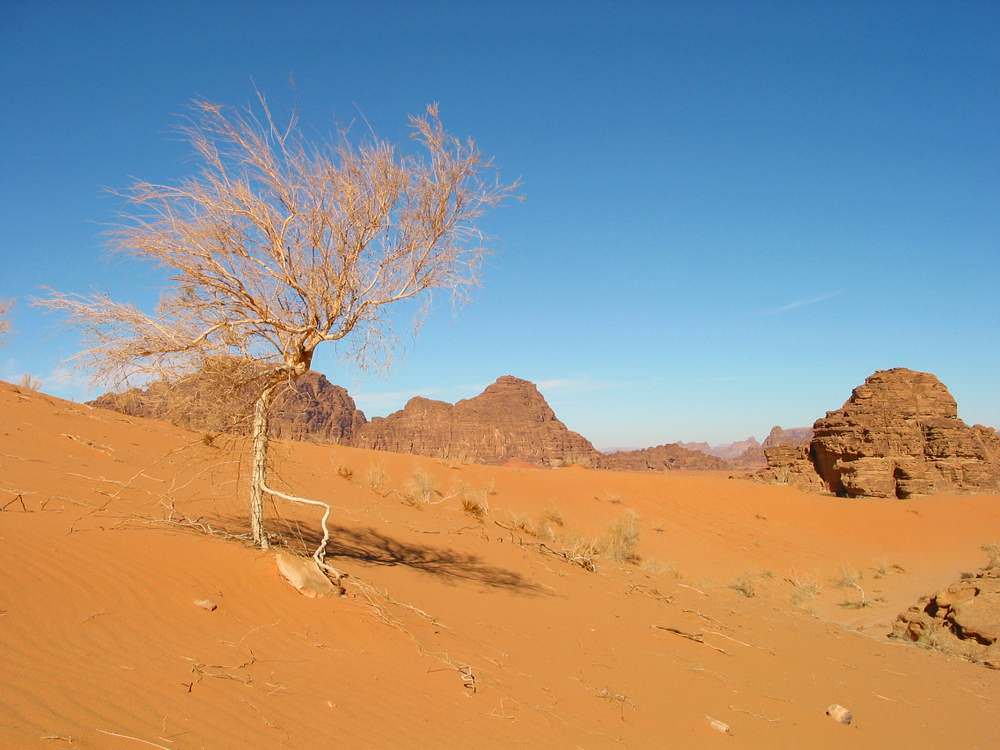 jordanie-desert-wadi-rum