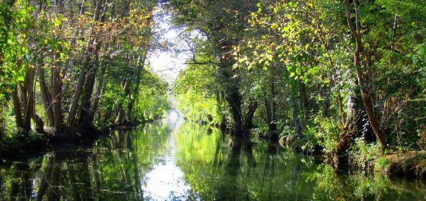 visite-marais-poitevin