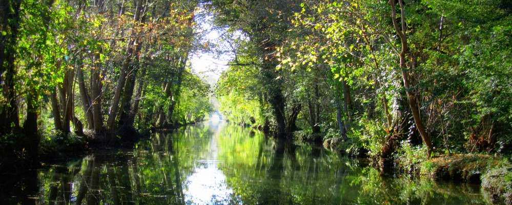 visite-marais-poitevin