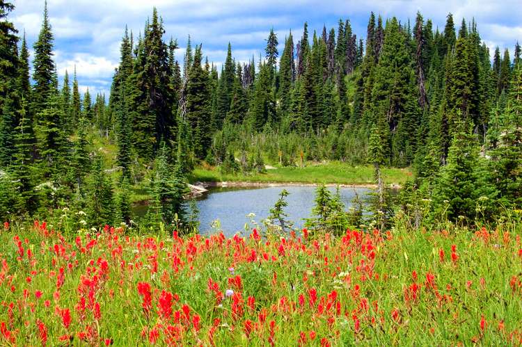 canada-montagnes-rocheuses