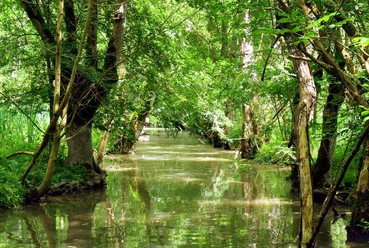 visite-marais-poitevin