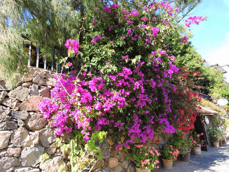 fuerteventura-betancuria