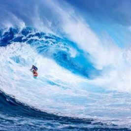 hawaii-surf