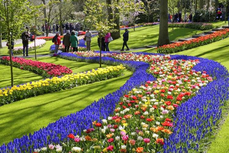 hollande-amsterdam-keukenhof-tulipes