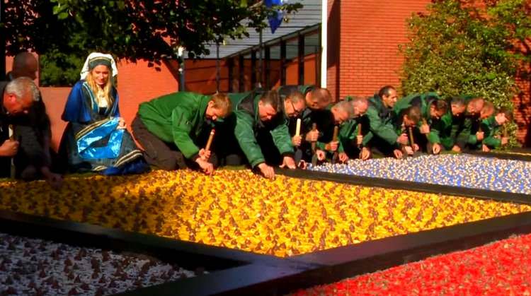 hollande-amsterdam-keukenhof-tulipes