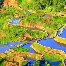 philippines-rizieres-banaue
