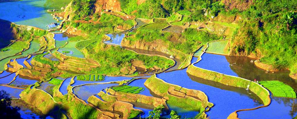 philippines-rizieres-banaue