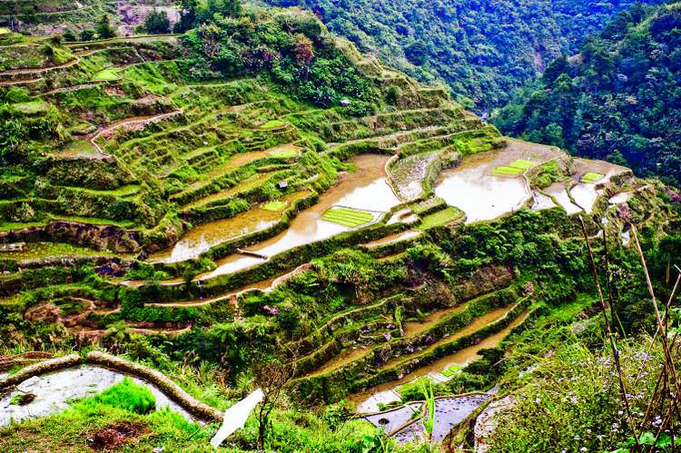 philippines-rizieres-banaue