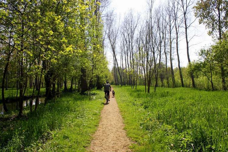 visite-marais-poitevin