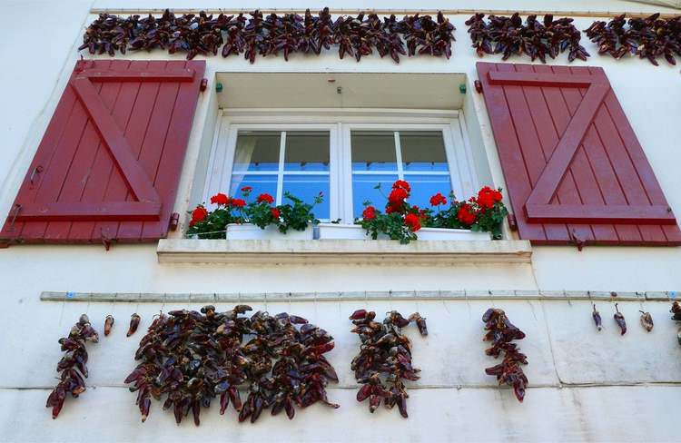 decouverte-sejour-pays-basque