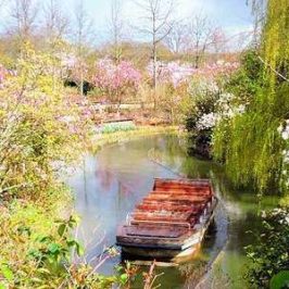 visite-angers-terra-botanica