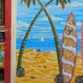 visite-madere-funchal