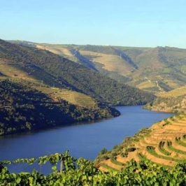 vallee-douro-portugal
